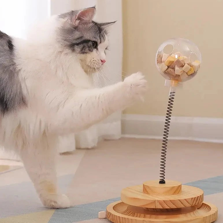 Interactieve Katten Voederspeeltje