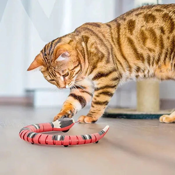 Cat's Smart Interactief Slangspeelgoed