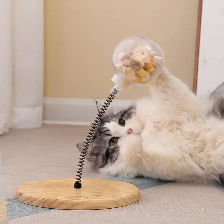 Interactieve Katten Voederspeeltje