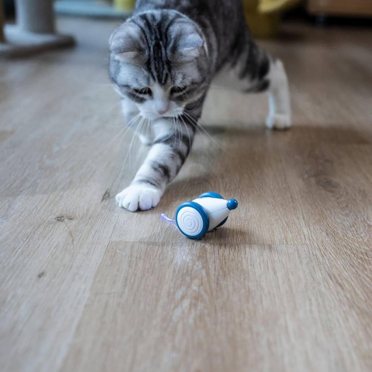Auto-Running Mouse Kattenspeeltje