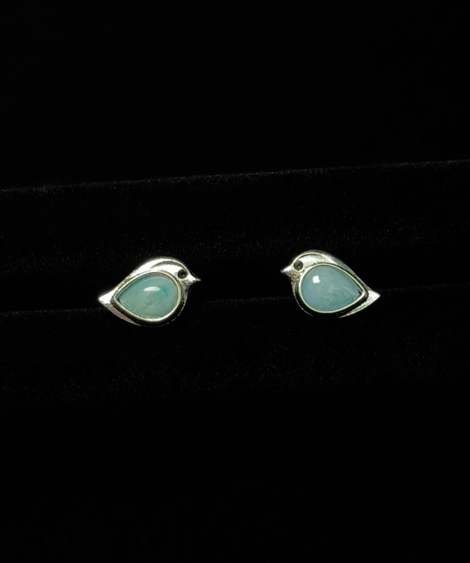 Dames Oorbellen Sparrow Stud Turquoise Design 2