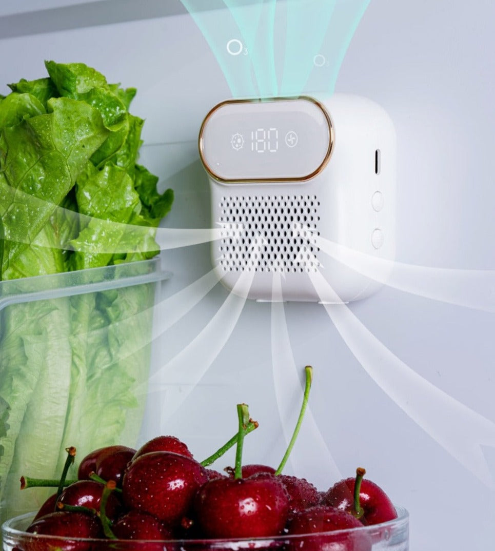 Koelkast Magnetische Luchtreiniger