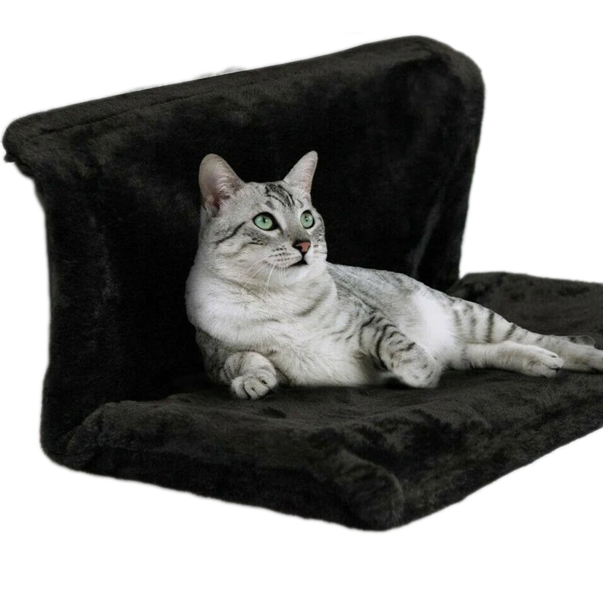 Kat Radiator Hangmat