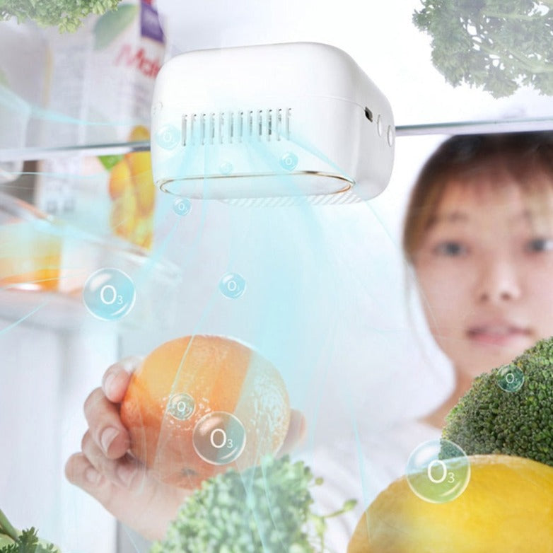 Koelkast Magnetische Luchtreiniger