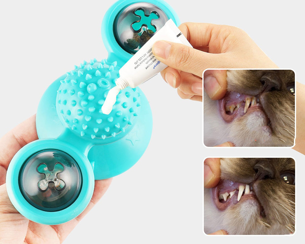 Windmolen Kattenspeeltje