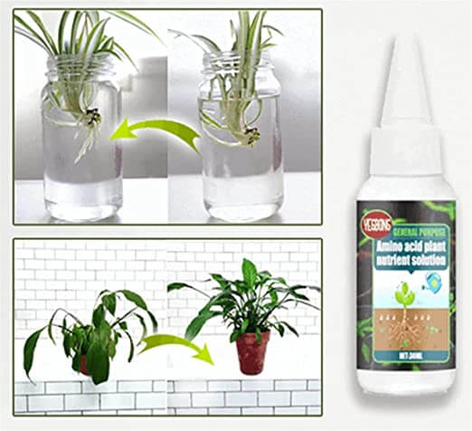 Oplossing voor plantenvoedingsmiddelen
