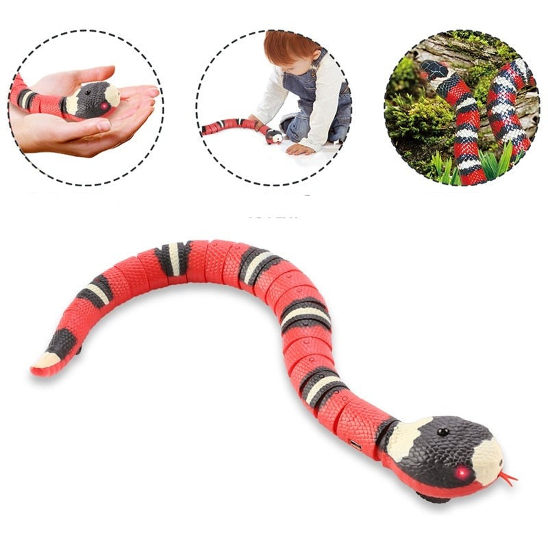 Slang Kattenspeelgoed