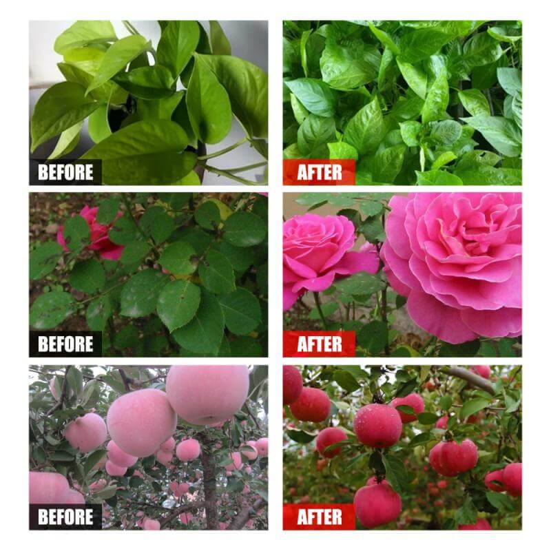 Oplossing voor plantenvoedingsmiddelen