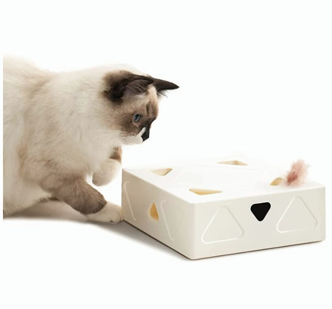 Automatisch Kattenspeelgoed Veer