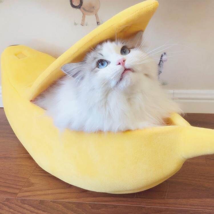 Grappig Bananen Kattenbed