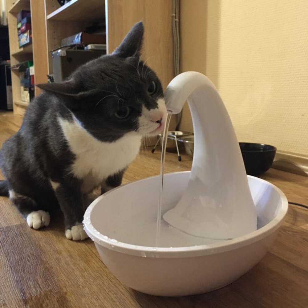 Automatische drinkfontein voor katten