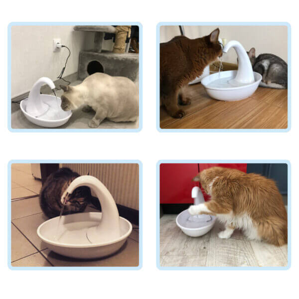 Automatische drinkfontein voor katten