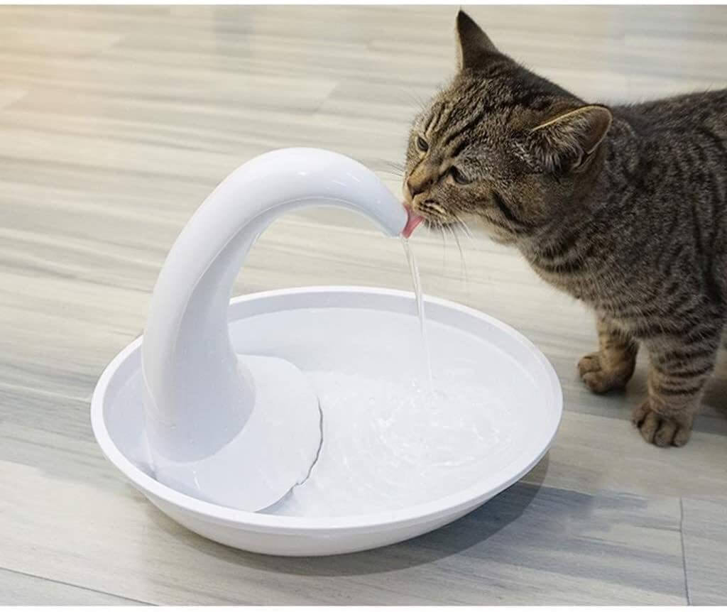 Automatische drinkfontein voor katten