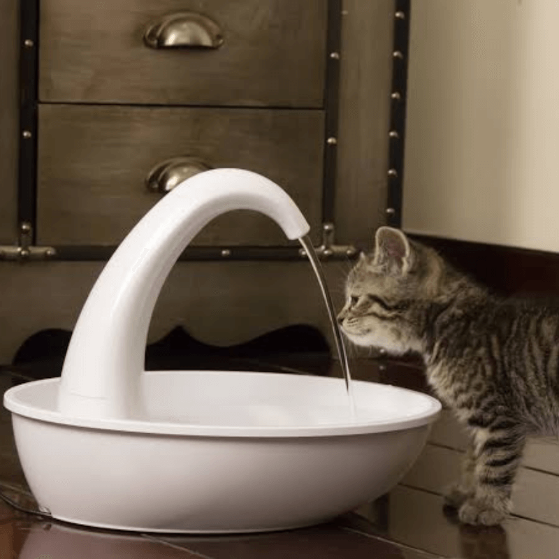 Automatische drinkfontein voor katten