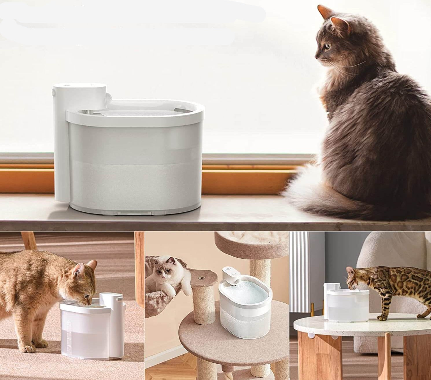 Smart Sensor Kattenwaterfontein