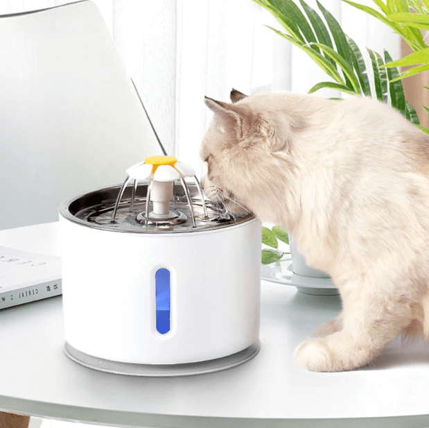 Hydratatie Katten Waterfontijn