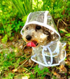 Hond Waterdichte Transparante Regenjas