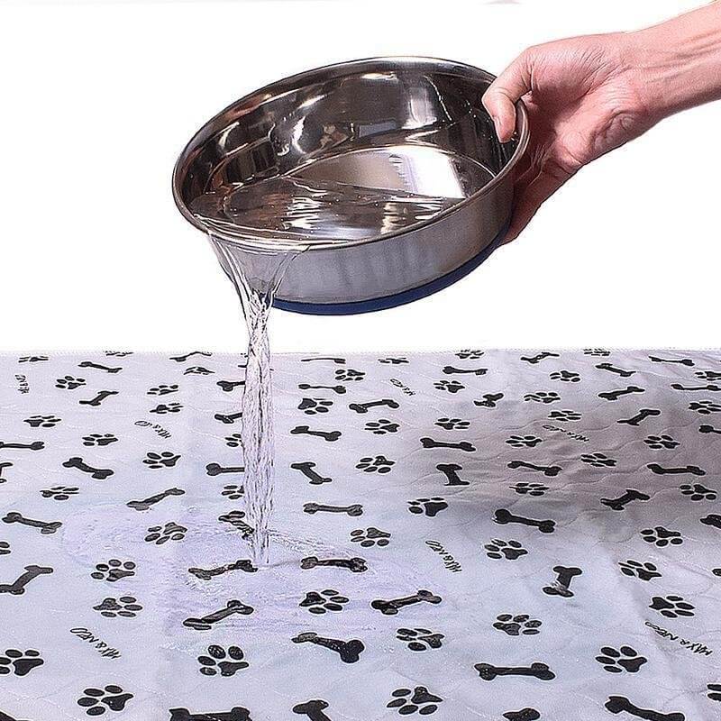 Herbruikbare honden plasmat