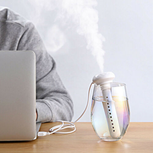 Waterfles Luchtbevochtiger