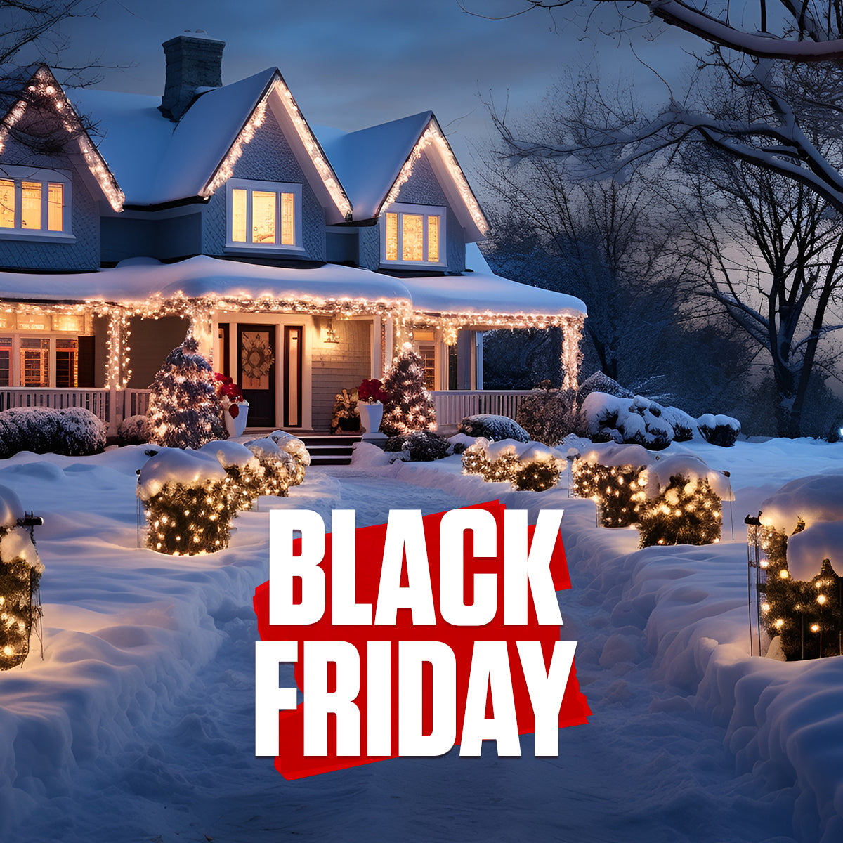 Black Friday Winter