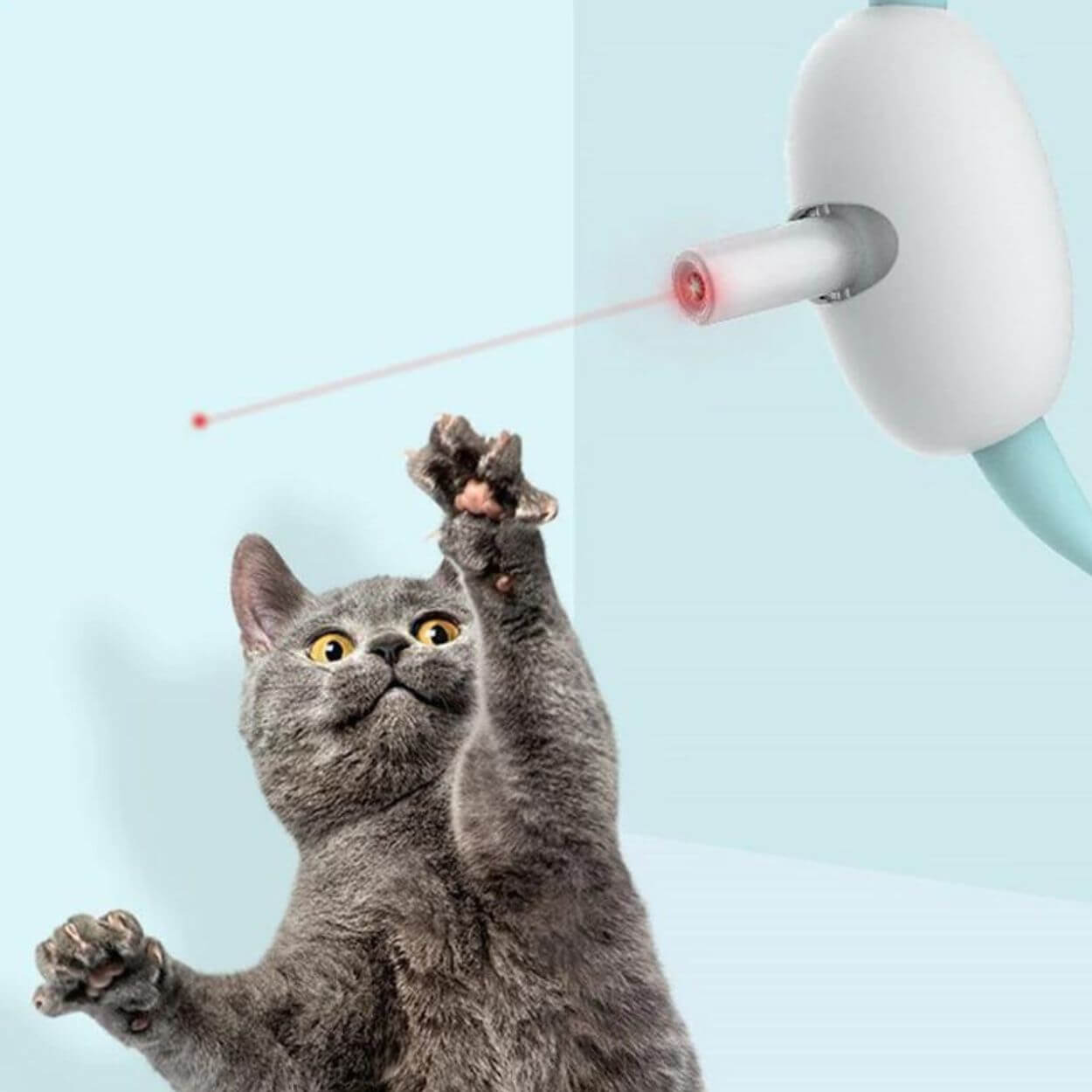 Laser Tease Kattenhalsband