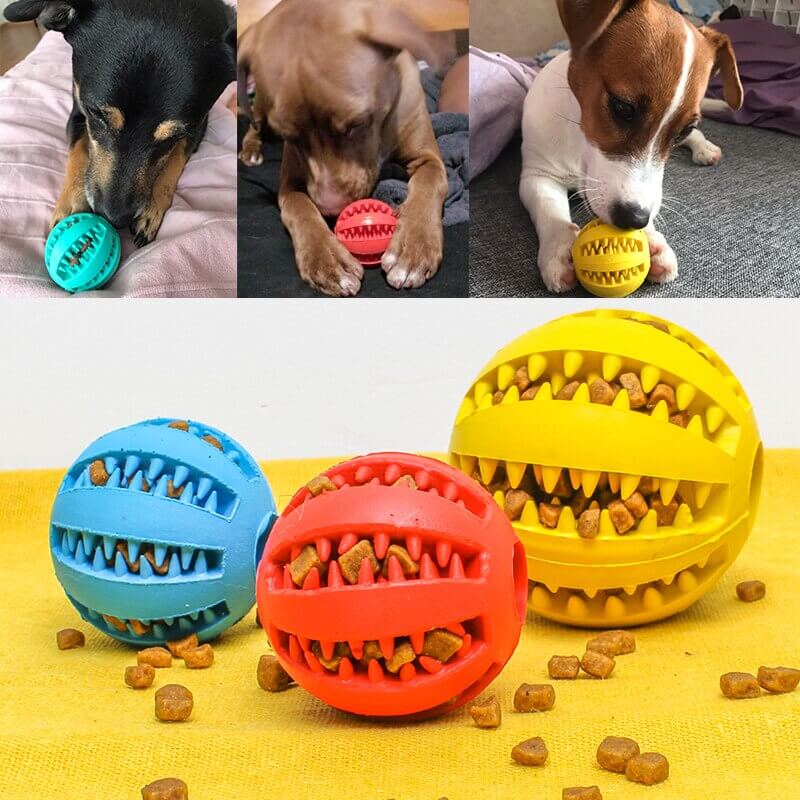 Teeth Cleaning Treat Dispenser Bal