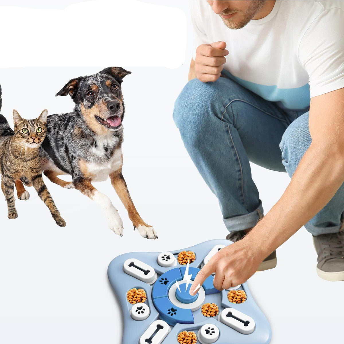 Interactieve Puzzle Feeder