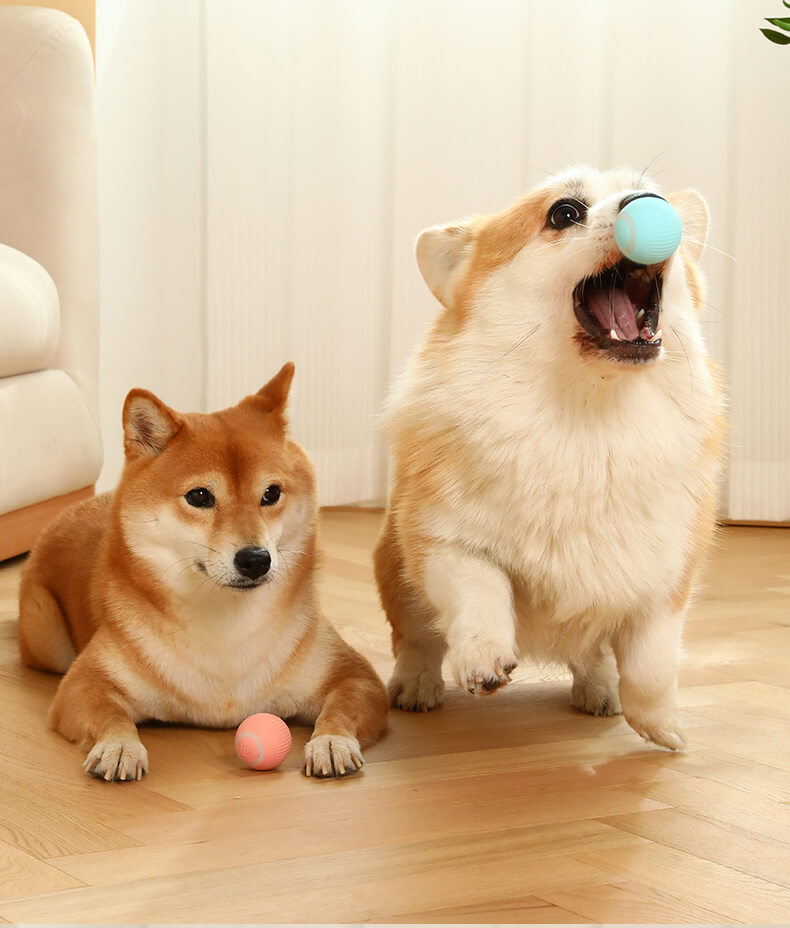 Elektrische rollende bal voor huisdieren