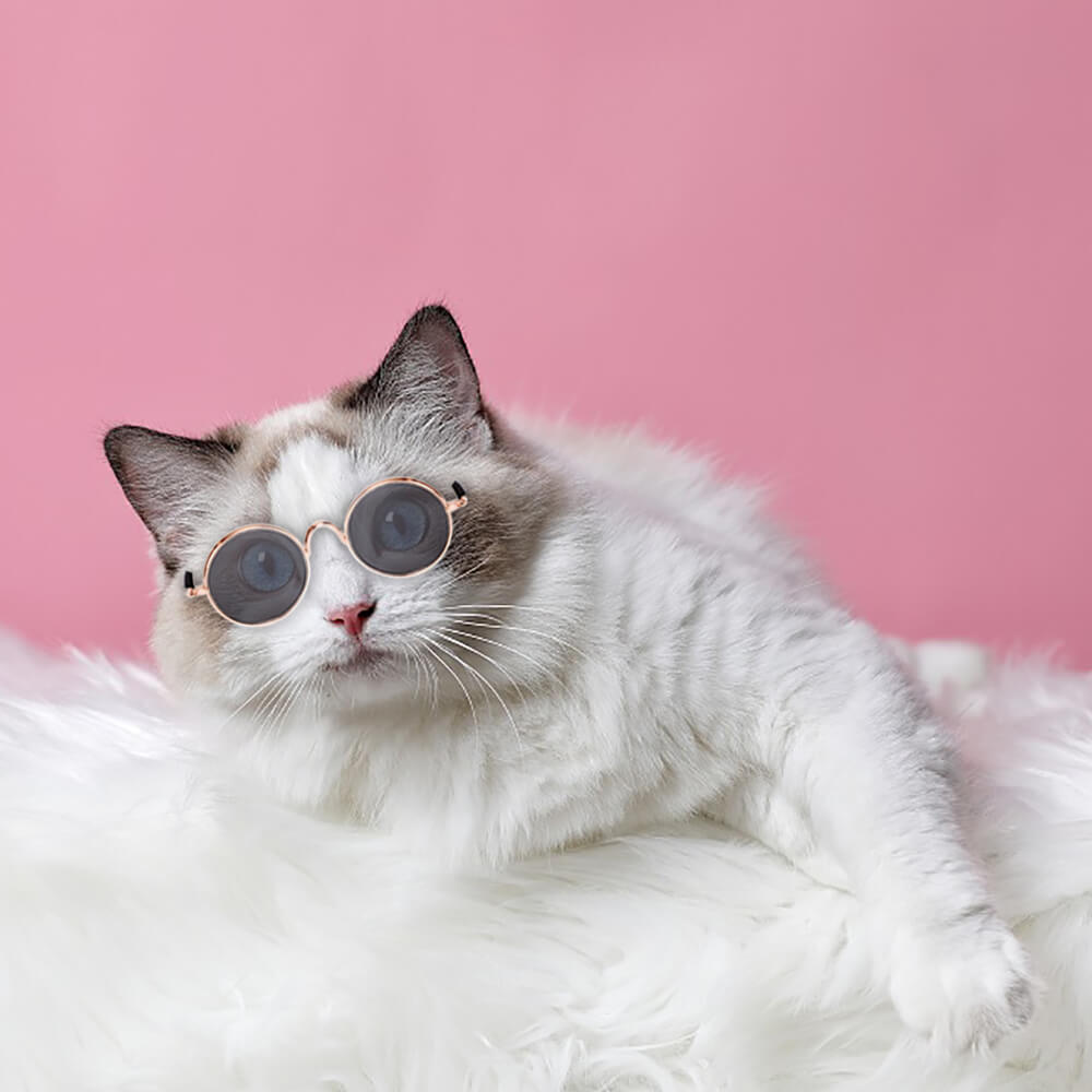 Huisdier Ronde Retro Zonnebril