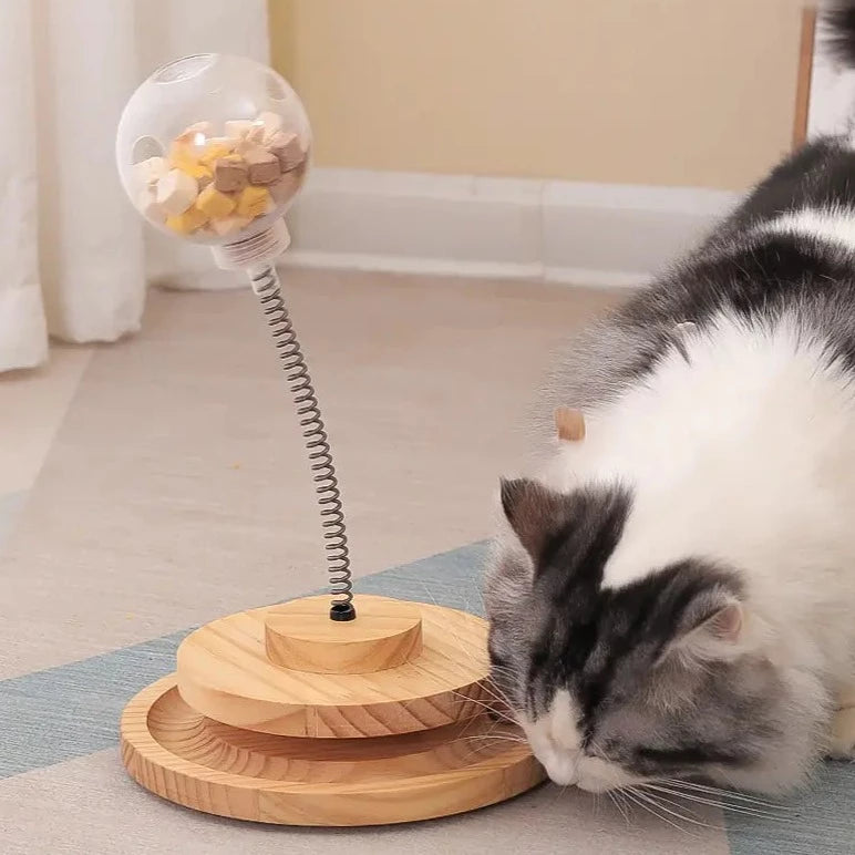 Interactieve Katten Voederspeeltje