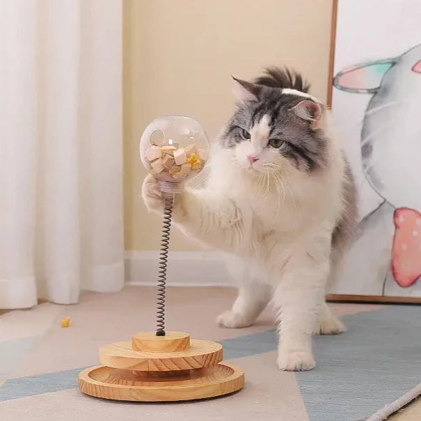 Interactieve Katten Voederspeeltje