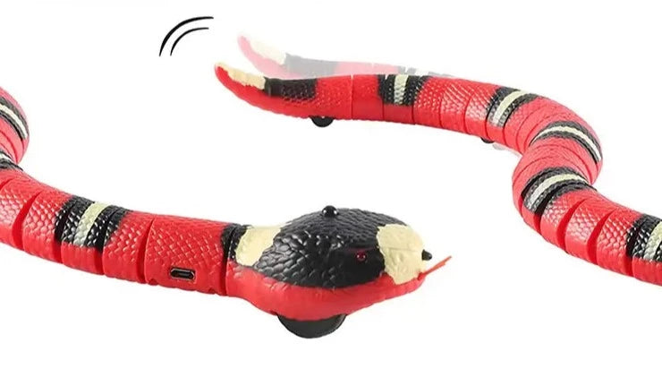 Cat's Smart Interactief Slangspeelgoed