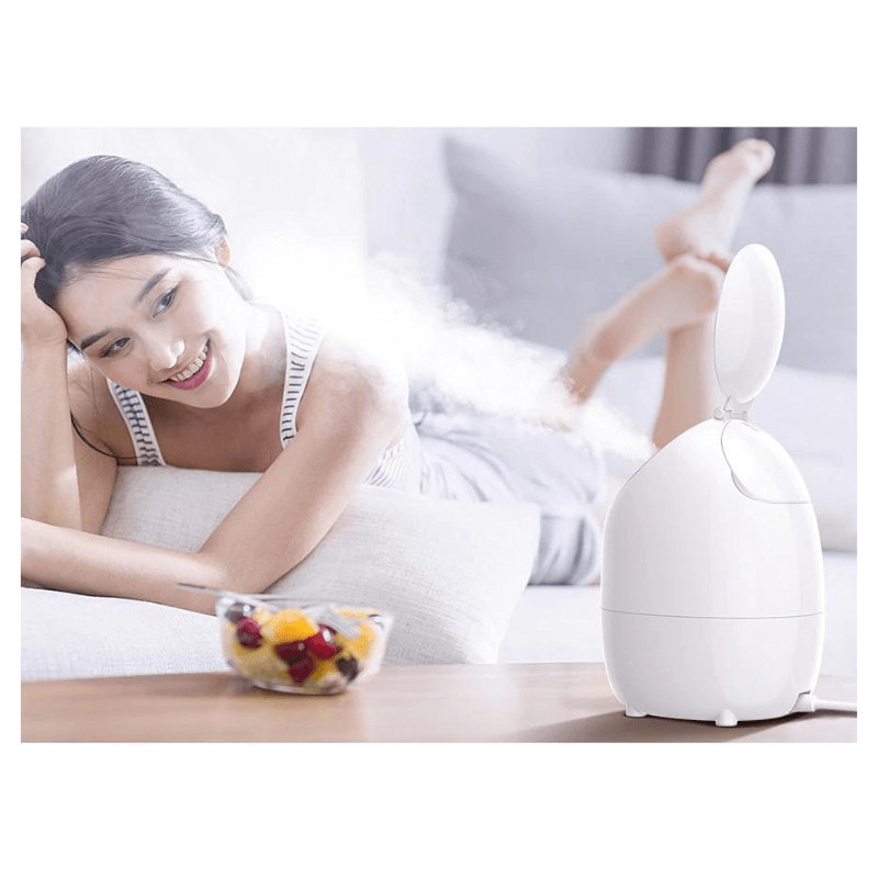 Draagbare Nano Gezichtsstomer