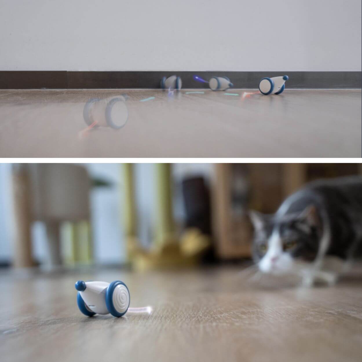 Auto-Running Mouse Kattenspeeltje