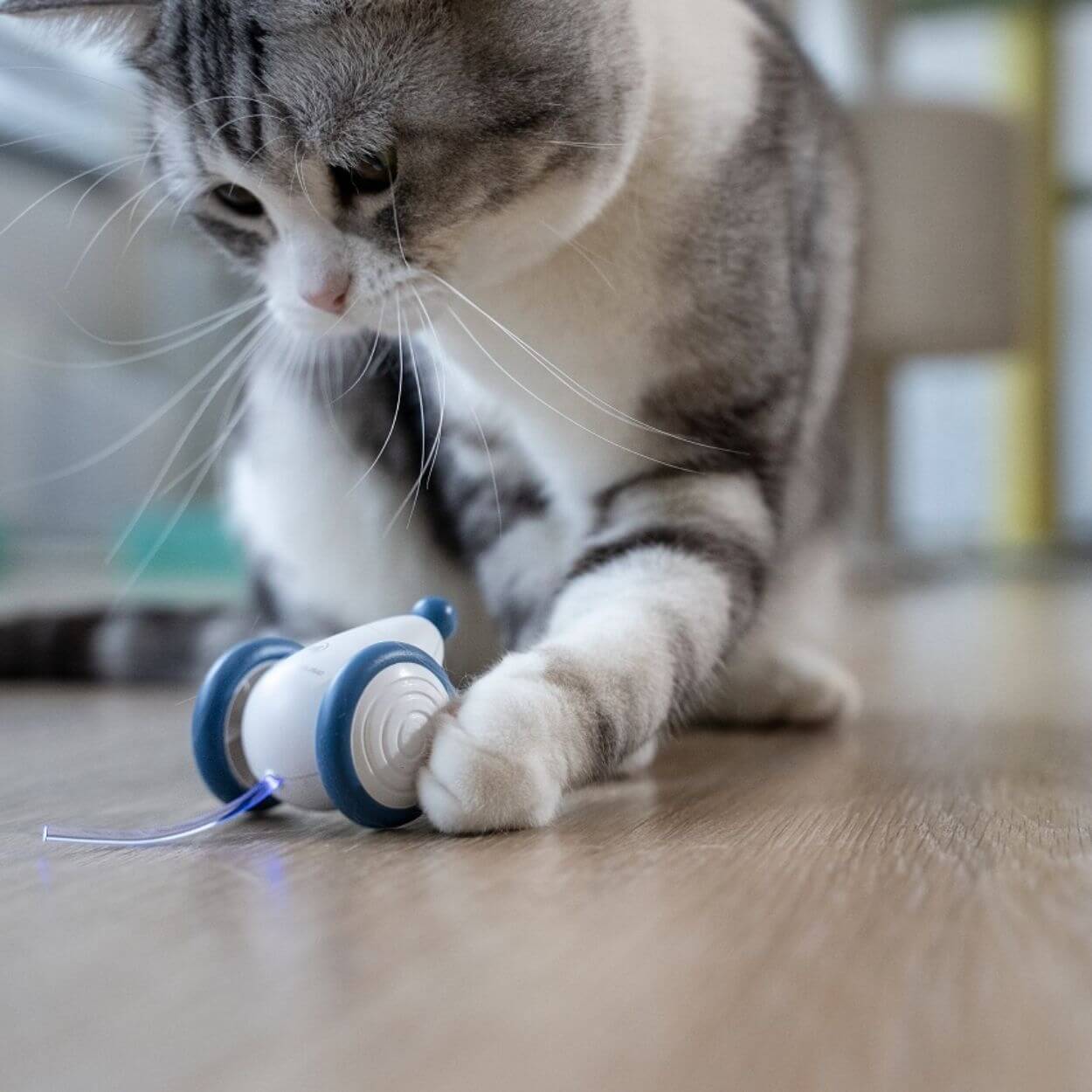 Auto-Running Mouse Kattenspeeltje
