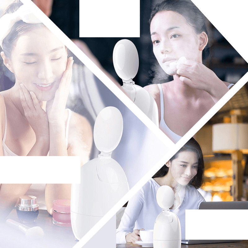 Draagbare Nano Gezichtsstomer