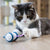 Auto-Running Mouse Kattenspeeltje