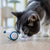 Auto-Running Mouse Kattenspeeltje