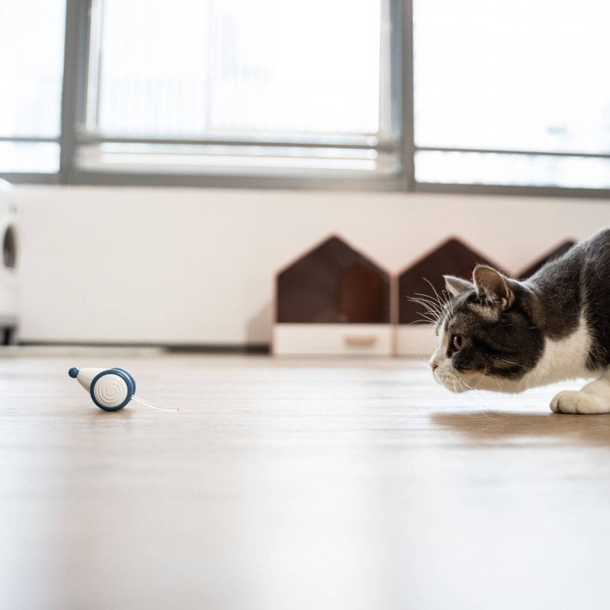 Auto-Running Mouse Kattenspeeltje