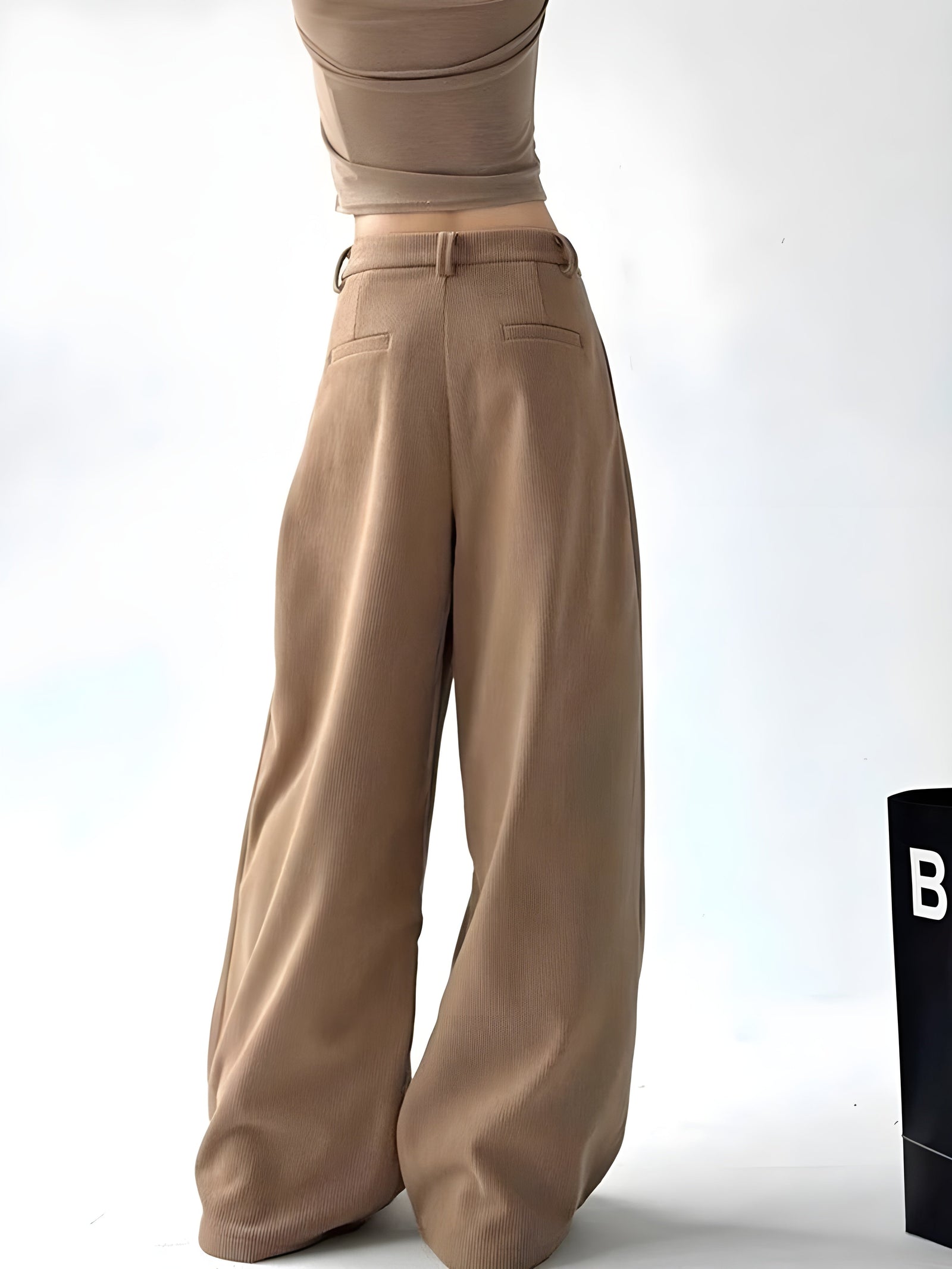 Dames Palazzo Broek met Hoge Taille en Plooien 3