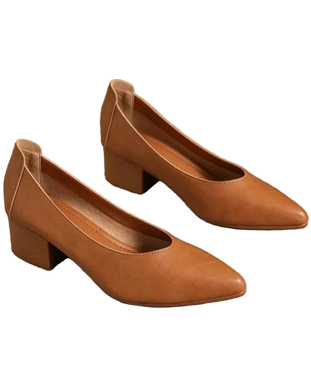 Dames Pumps Spitse Neus Met Blokhak 1