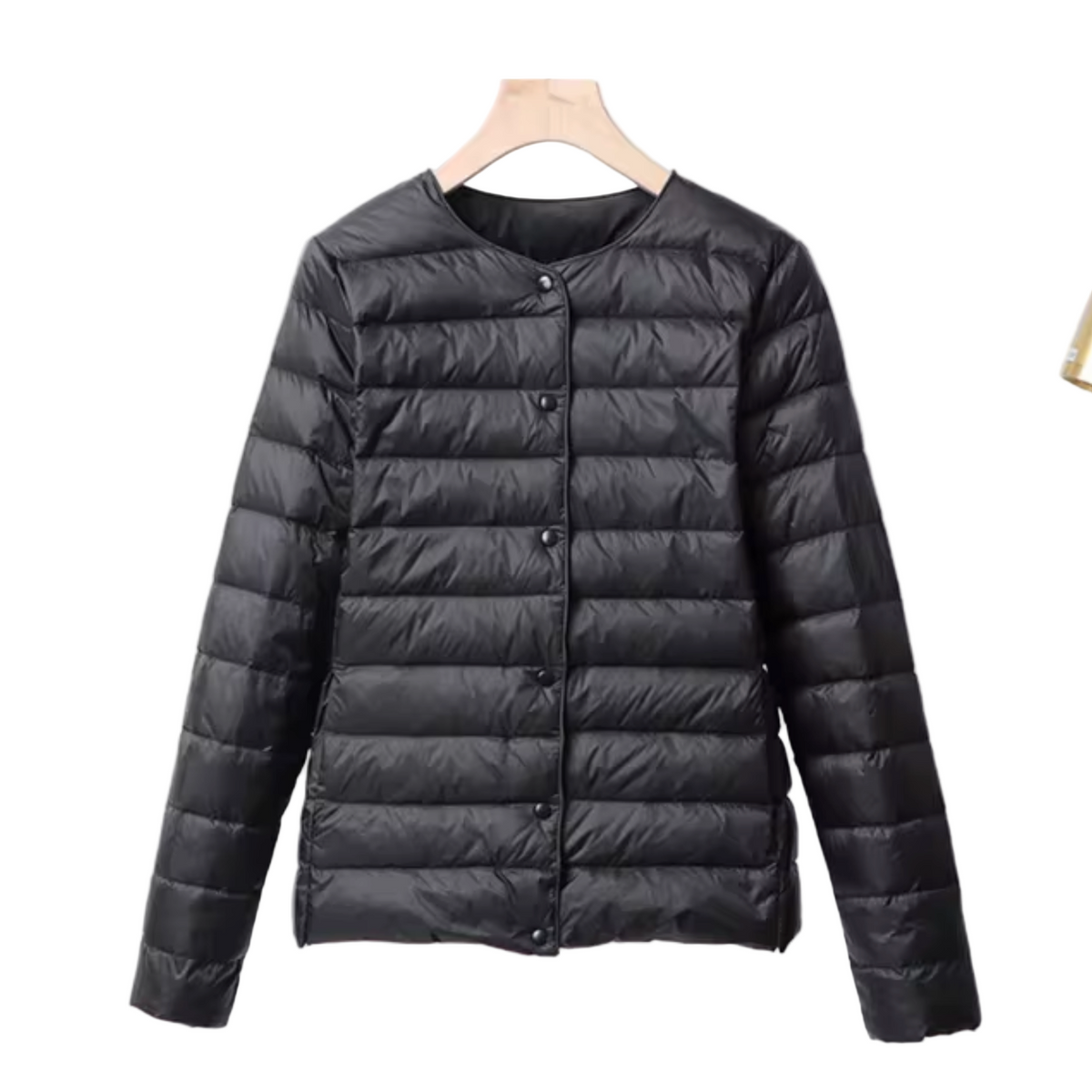 Dames Ultradunne Daunenjacke Korte Stijl 1