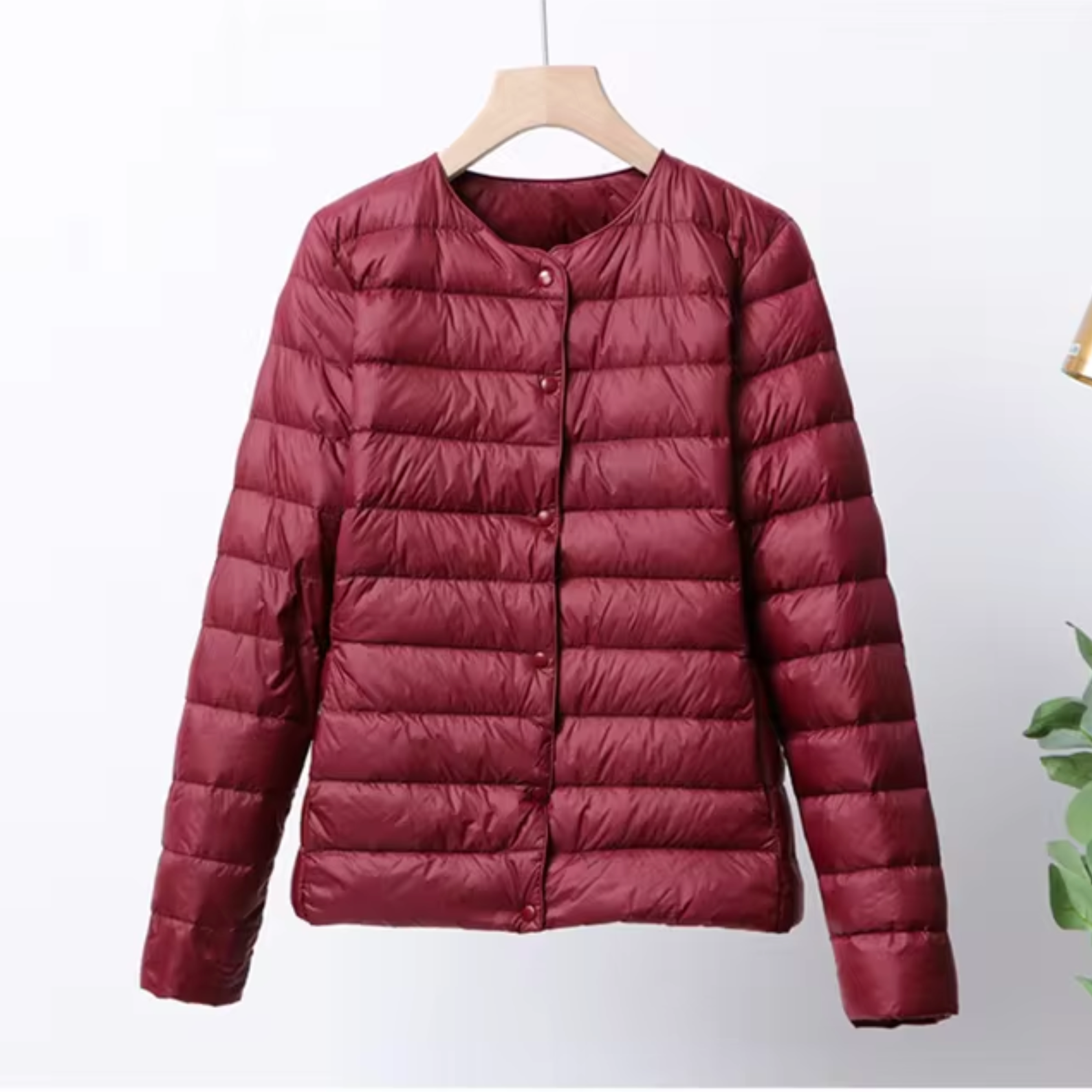 Dames Ultradunne Daunenjacke Korte Stijl 6