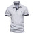 Heren Poloshirt Klassiek Comfortabel Katoen Casual-1