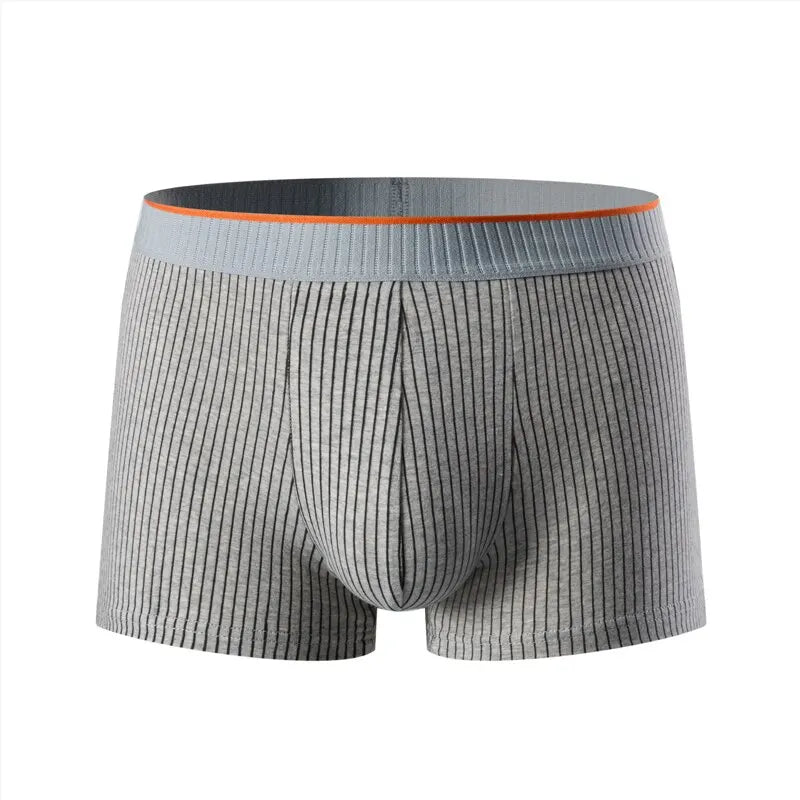 Heren Boxershort Nauwsluitend Gestreept 5