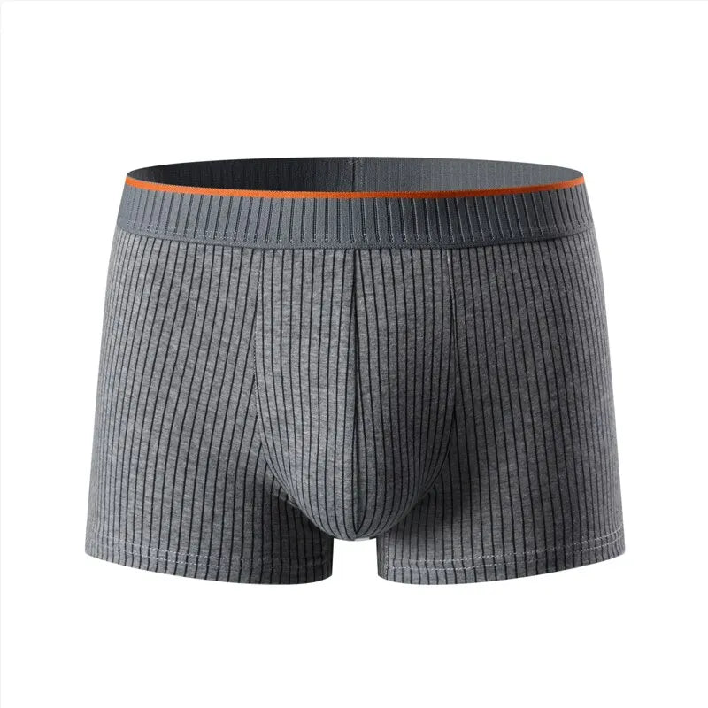 Heren Boxershort Nauwsluitend Gestreept 6