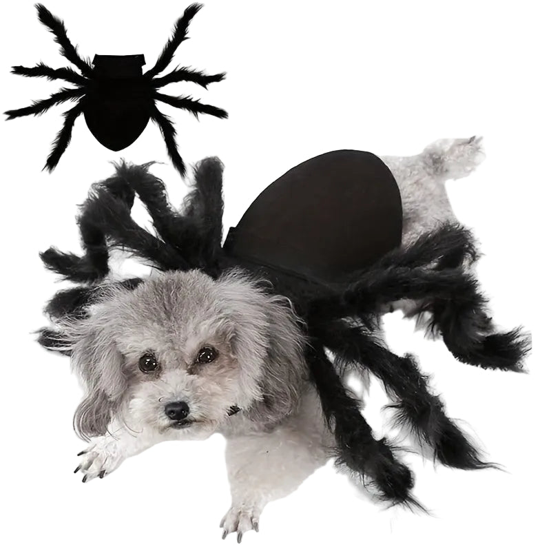 Honden Kostuum Halloween Spinnenmotief Voor Middelgrote Rassen 0