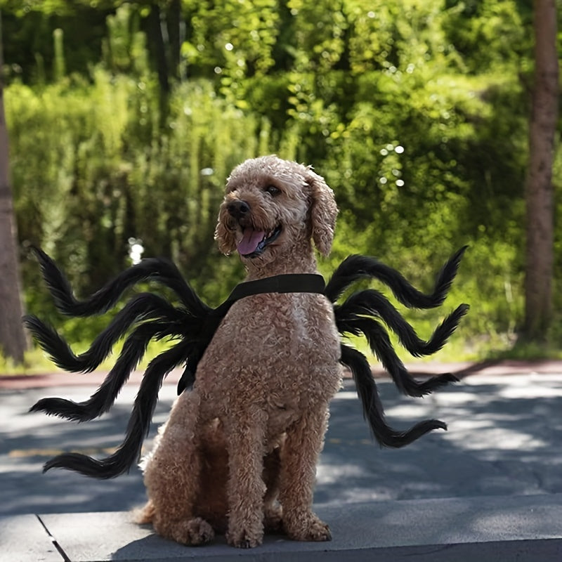 Honden Kostuum Halloween Spinnenmotief Voor Middelgrote Rassen 1