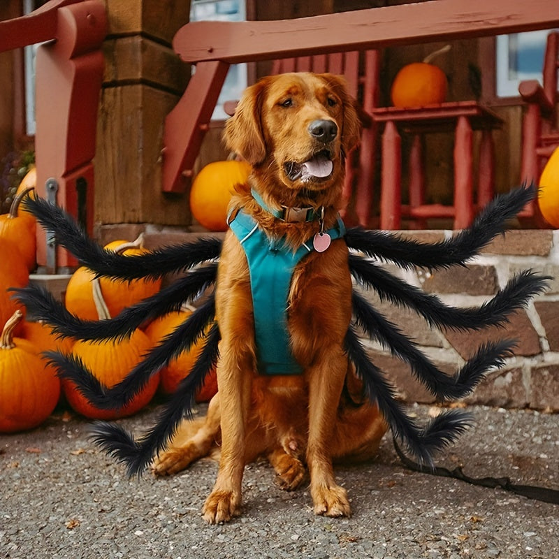 Honden Kostuum Halloween Spinnenmotief Voor Middelgrote Rassen 2