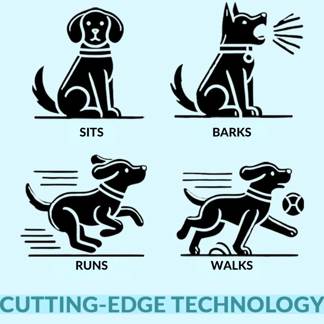 Interactief Puppyspeelgoed Met Realistische Bewegingen 6